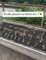 Spring Cut Flower Kits