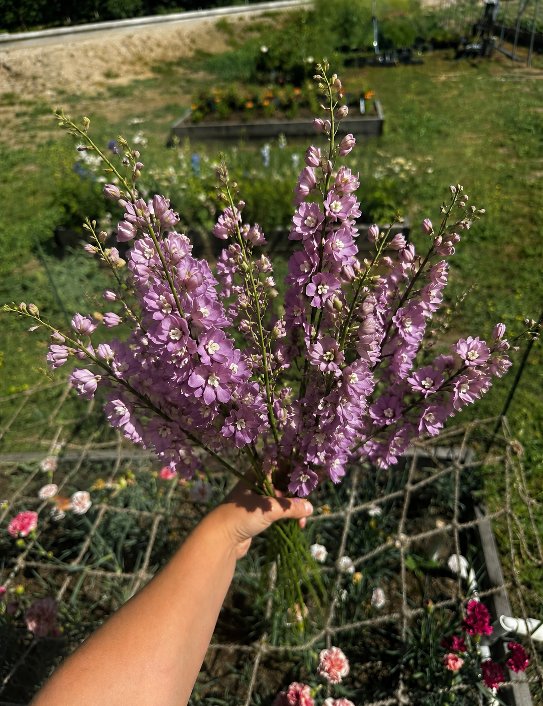 Dusty mauve delphinium bouquet