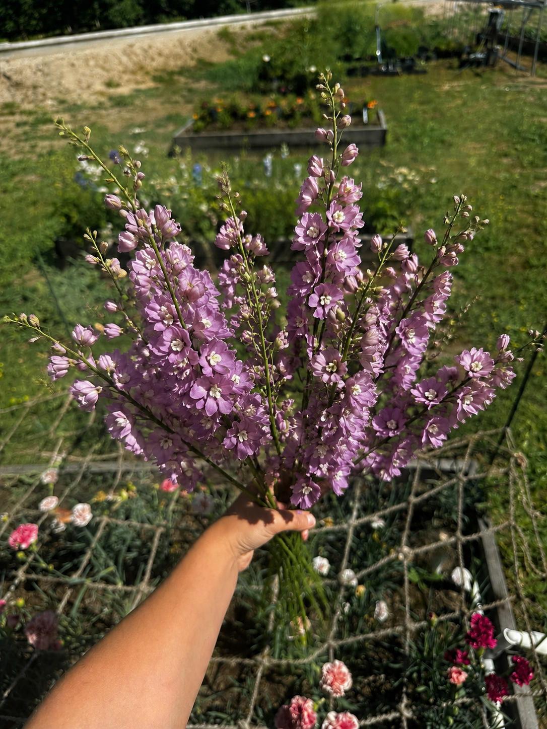 Dusty mauve delphinium bouquet