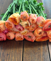Ranunculus Amandine Salmon