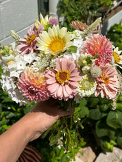 Summer Cut Flower Kit