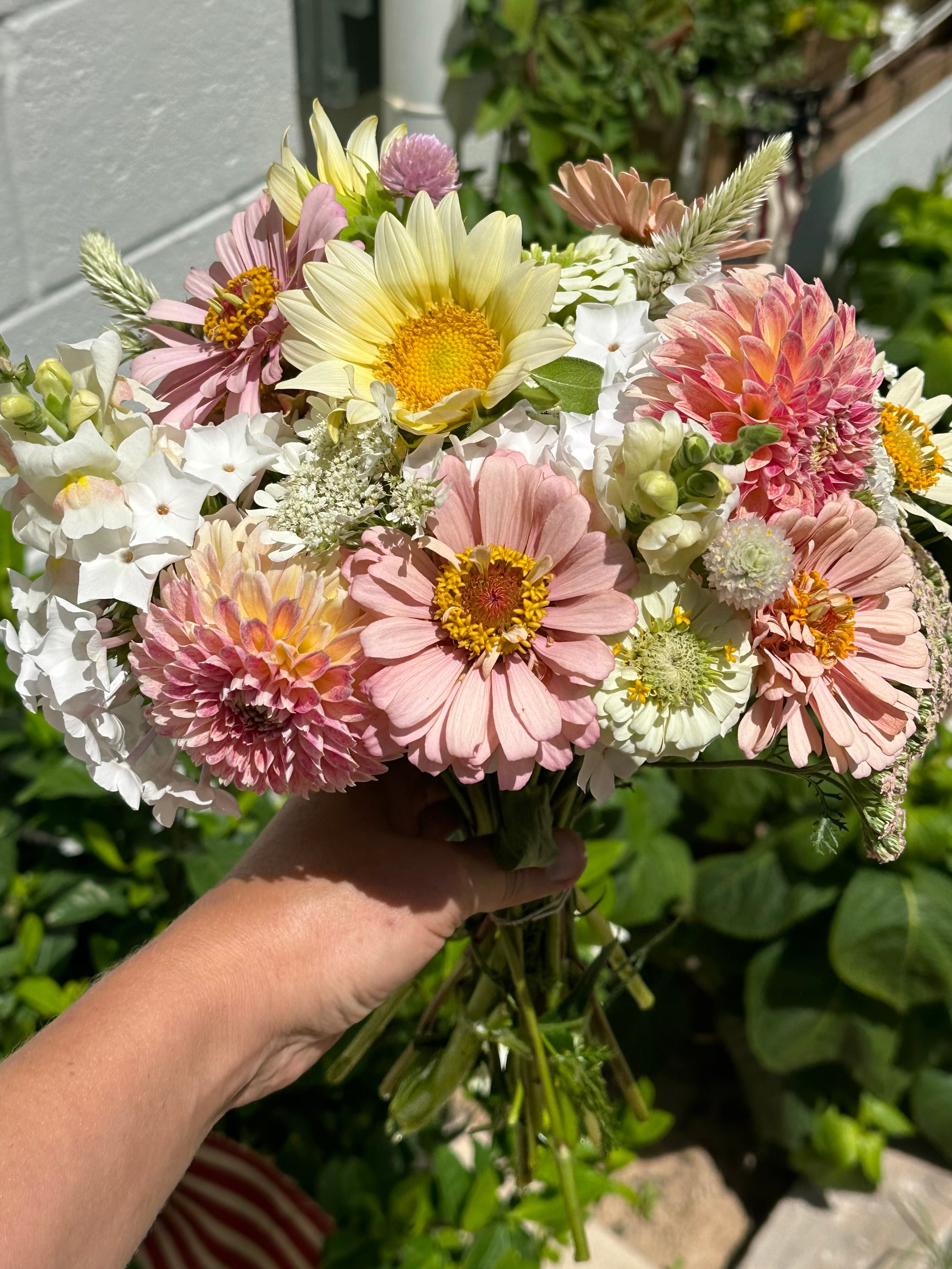 Summer Cut Flower Kit