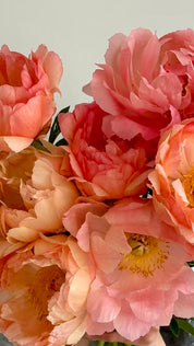 Peony Coral Sunset