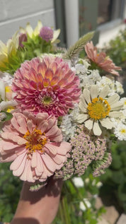 Summer Cut Flower Kit